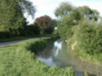 Burwell Lode 7.jpg
57.64 KB
512 x 384
4/26/02